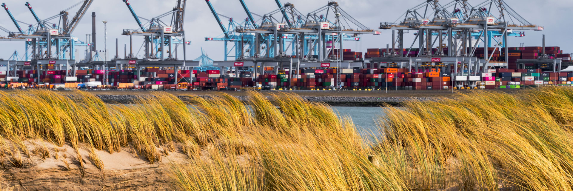 NGRP_Maasvlakte_Containers